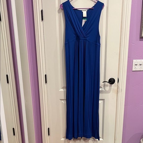 NWT Elegant Blue Maxi Dress Size XL - Picture 1 of 5